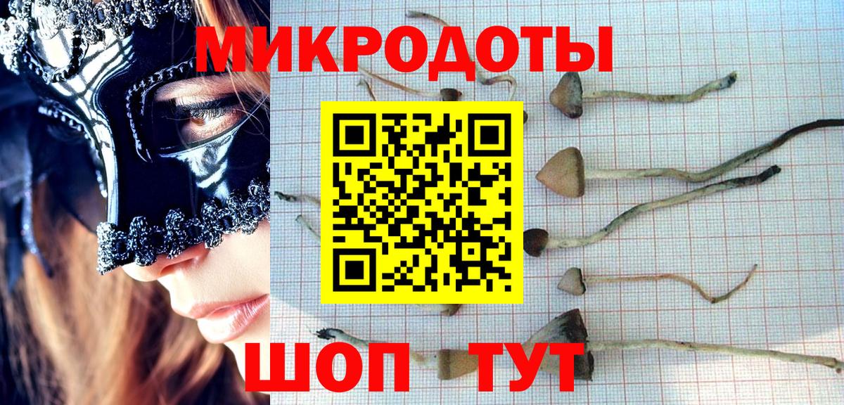 Чусовой  Галлюциногенные грибы Psilocybe  Вход с VPN 